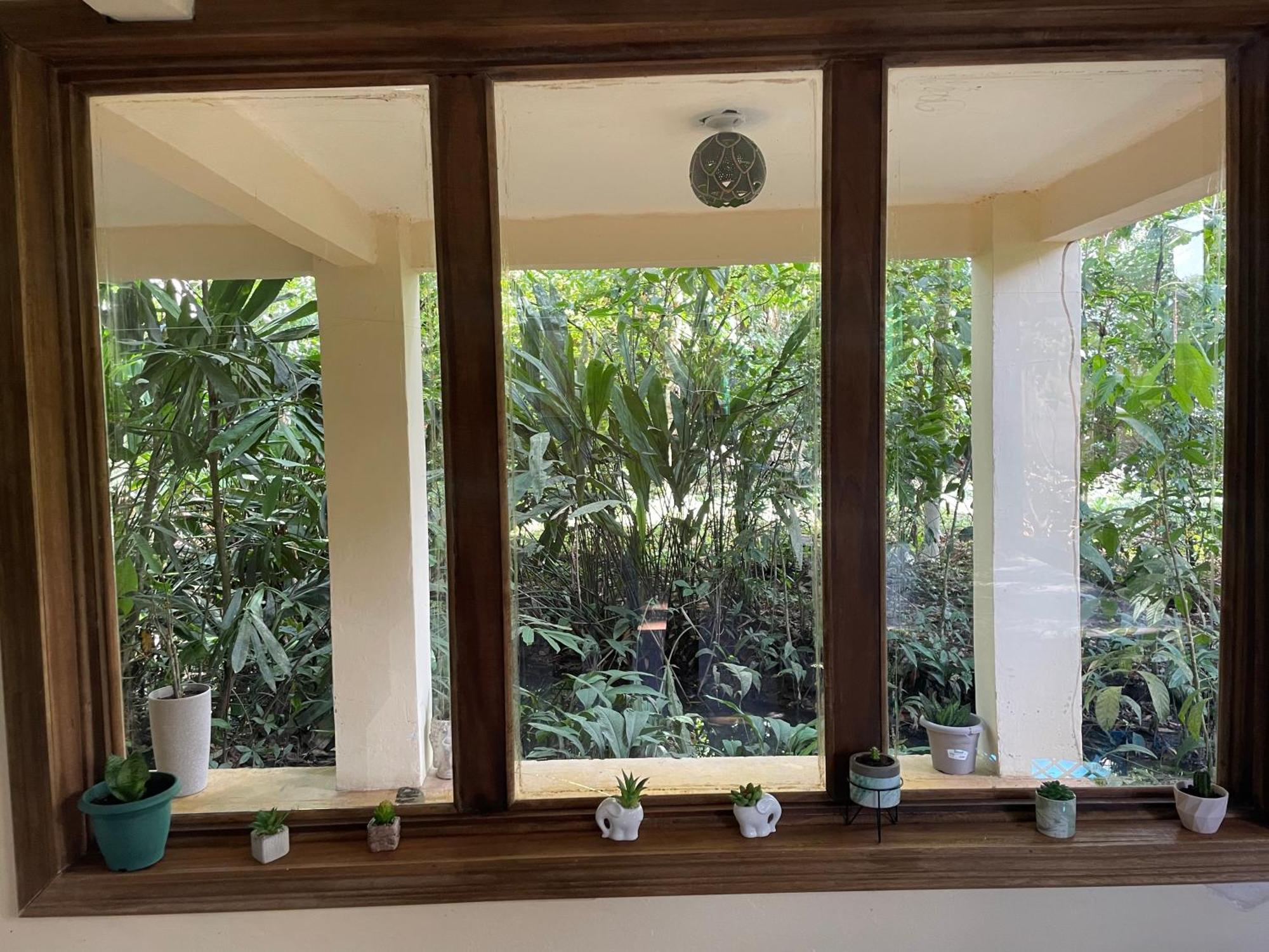 Casa Jaguar Tortuguero Villa Exterior photo
