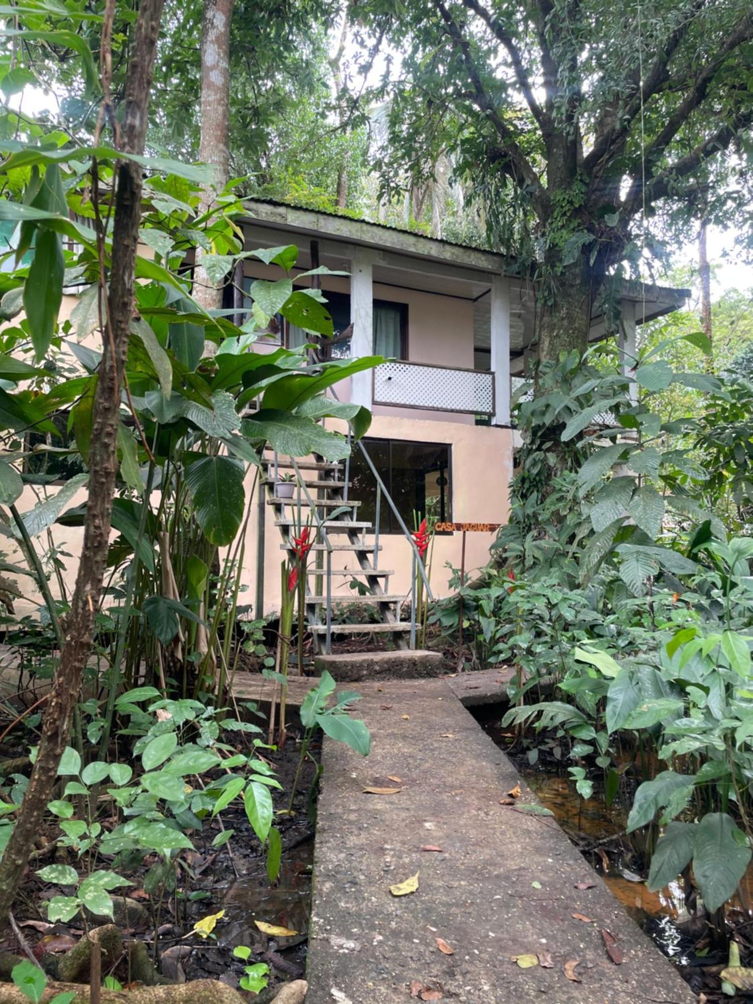 Casa Jaguar Tortuguero Villa Exterior photo